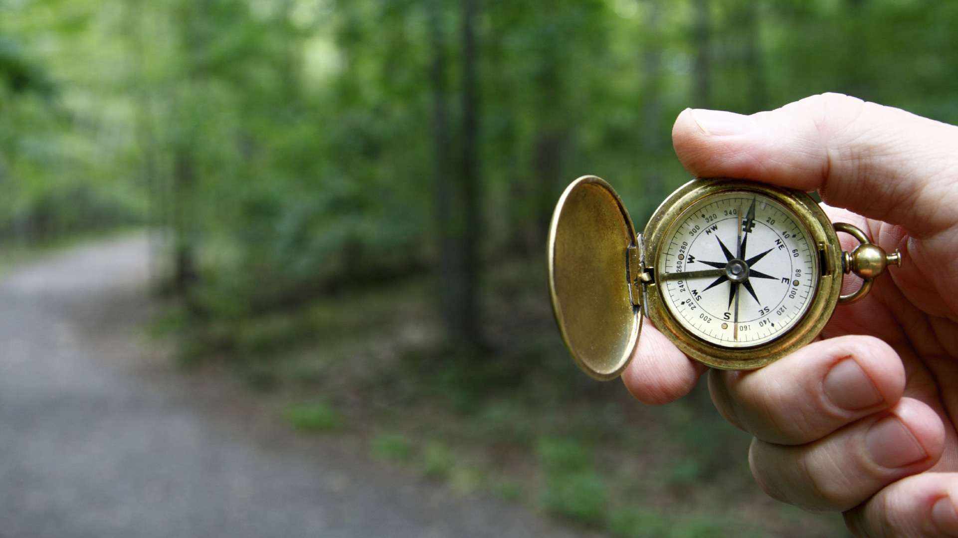 compass navigating through forest